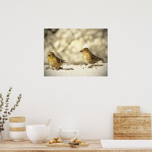 Goldfinch en Pine Siskin Poster (Keuken)