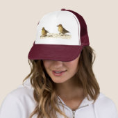 Goldfinch en Pine Siskin Trucker Pet (In situ)