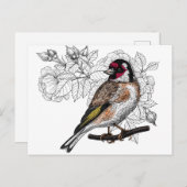 Goldfinch en rozen briefkaart (Voorkant / Achterkant)