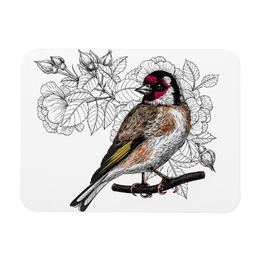 Goldfinch en rozen magneet (Horizontaal)