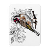 Goldfinch en rozen magneet (Verticaal)