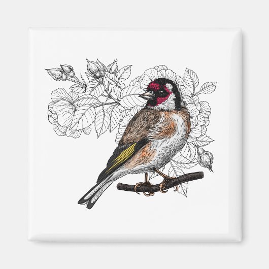 Goldfinch en rozen magneet (Voorkant)