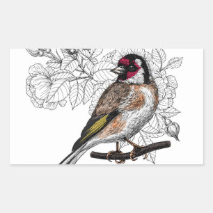 Goldfinch en rozen rechthoekige sticker