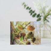 Goldfinch en zonnebloemen briefkaart (Staand voorkant)