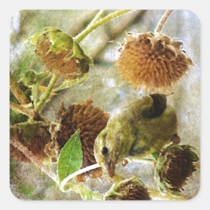 Goldfinch en zonnebloemen vierkante sticker