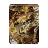 Goldfinch en zonnebloempitten Magnet Magneet (Verticaal)