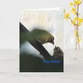 Goldfinch Feeding Chick Kaart (Gele Bloem)