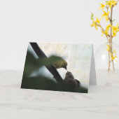 Goldfinch Feeds Baby, Birthday Kaart (Gele Bloem)