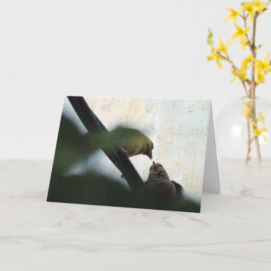 Goldfinch Feeds Baby, Birthday Kaart (Gele Bloem)