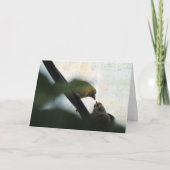 Goldfinch Feeds Baby, Birthday Kaart (Voorkant)