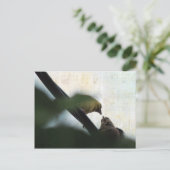 Goldfinch Feeds Chick Briefkaart (Staand voorkant)