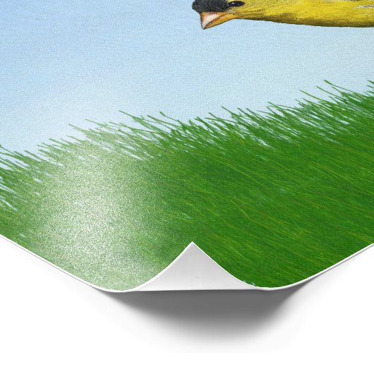 Goldfinch Foto Afdruk (Hoek)