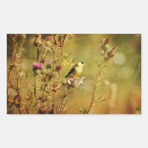 Goldfinch Foto Rechthoekige Sticker