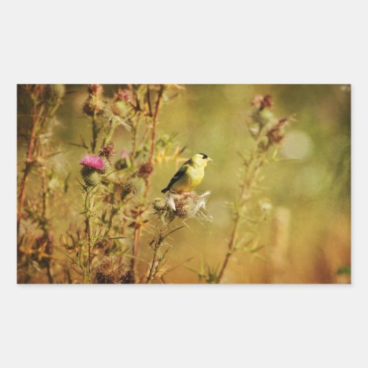 Goldfinch Foto Rechthoekige Sticker (Voorkant)