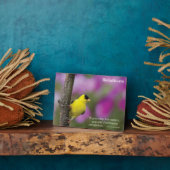 Goldfinch Fotoplaat (Zijkant)