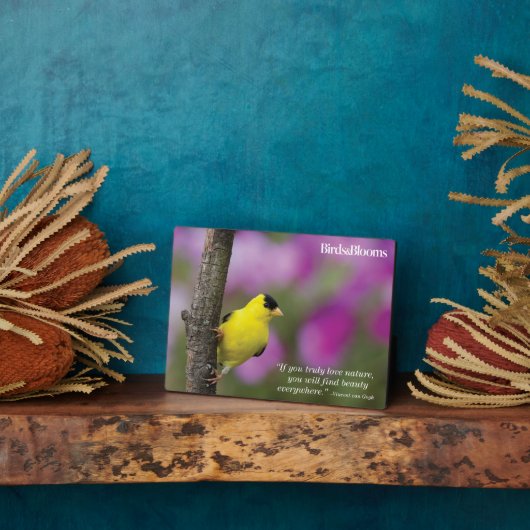 Goldfinch Fotoplaat (Zijkant)