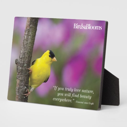 Goldfinch Fotoplaat (Zijkant)