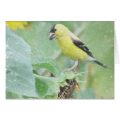 Goldfinch Grunge (Voorkant Horizontaal)