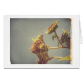 Goldfinch Grunge (Voorkant Horizontaal)