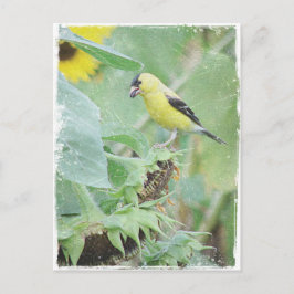 Goldfinch Grunge Briefkaart