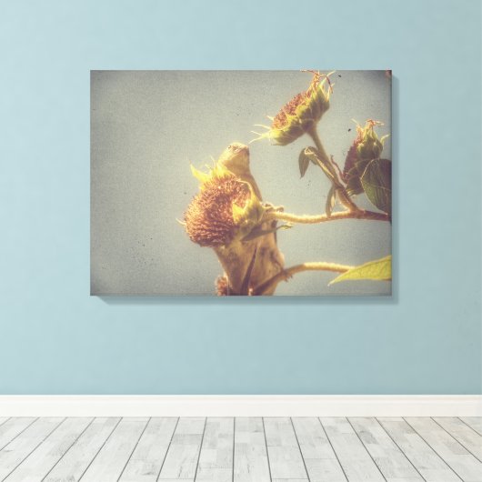Goldfinch Grunge Canvas Afdruk (Insitu (Houten vloer))