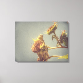 Goldfinch Grunge Canvas Afdruk