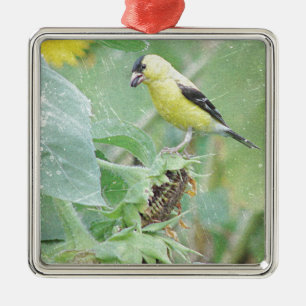 Goldfinch Grunge Metalen Ornament