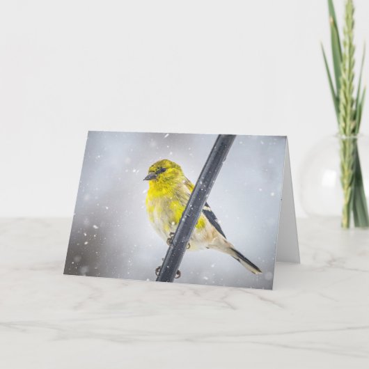 Goldfinch in the snow Folded Christmas Card Feestdagen Kaart (Voorkant)