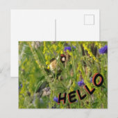 Goldfinch in Wild Flowers Field HALLO Briefkaart (Voorkant / Achterkant)