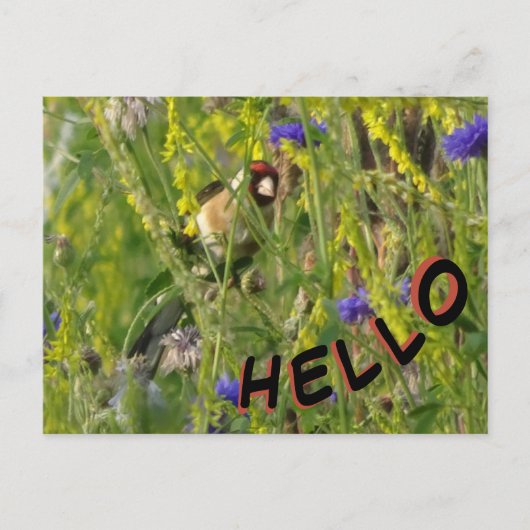Goldfinch in Wild Flowers Field HALLO Briefkaart (Voorkant)