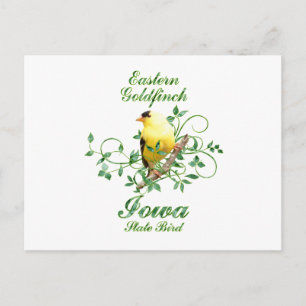 Goldfinch Iowa State Bird Briefkaart