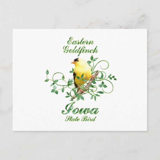 Goldfinch Iowa State Bird Briefkaart (Voorkant)