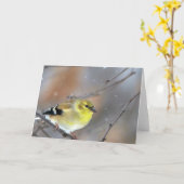 Goldfinch Kaart (Gele Bloem)