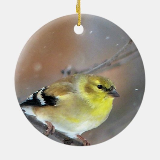Goldfinch Keramisch Ornament (Achterkant)