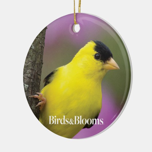 Goldfinch Keramisch Ornament (Links)