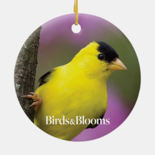 Goldfinch Keramisch Ornament (Achterkant)