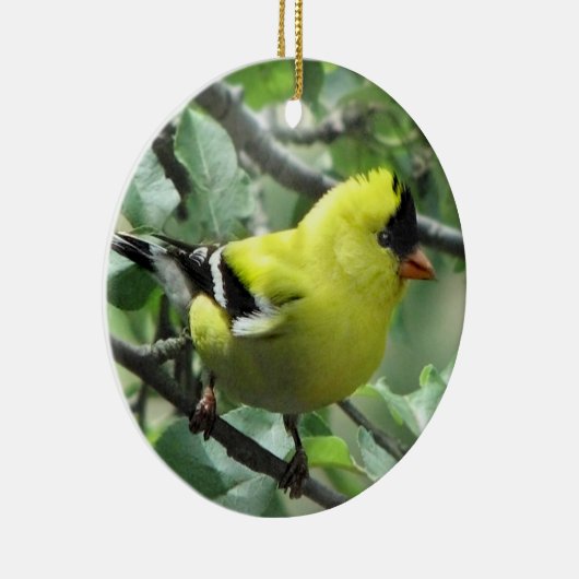 Goldfinch Keramisch Ornament (Rechts)