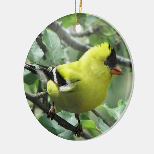 Goldfinch Keramisch Ornament (Links)