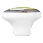 Goldfinch Keramische Knop (Zijkant)