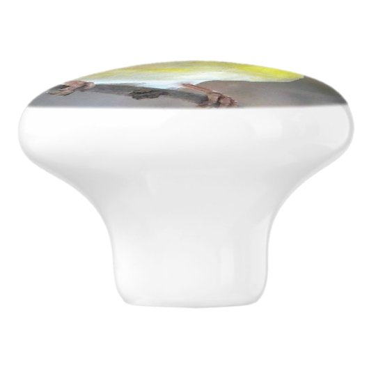 Goldfinch Keramische Knop (Zijkant)