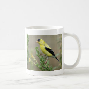 Goldfinch Koffiemok