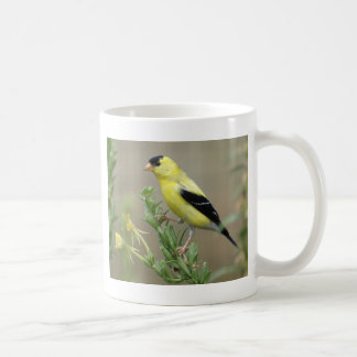 Goldfinch Koffiemok