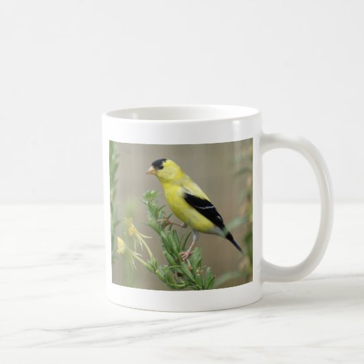 Goldfinch Koffiemok (Rechts)