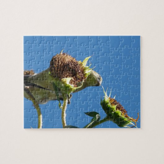 Goldfinch Legpuzzel (Horizontaal)