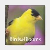 Goldfinch Magneet (Voorkant)