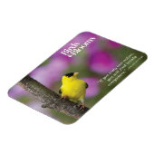 Goldfinch Magneet (Linkerzijde)