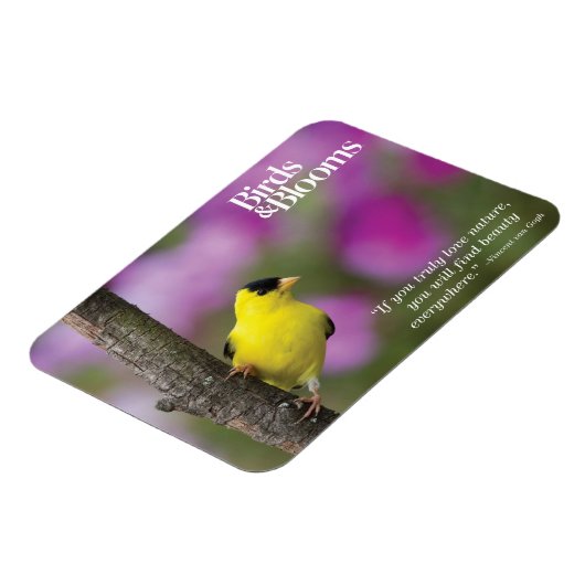 Goldfinch Magneet (Linkerzijde)