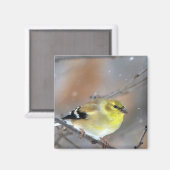 Goldfinch Magneet (Voorkant / Achterkant)