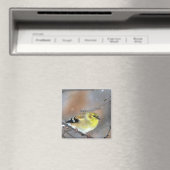 Goldfinch Magneet (Insitu (Vaatwasser))