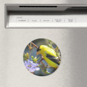Goldfinch Magnet (Insitu (Vaatwasser))